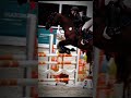 #fypシ゚viral #equestrianjourney #horse #showjumping #shortvideo #equestrian #foryou #rodeo