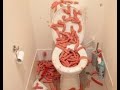 Cursed images of toilets