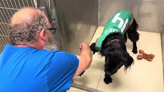 Vm207-8Vid2