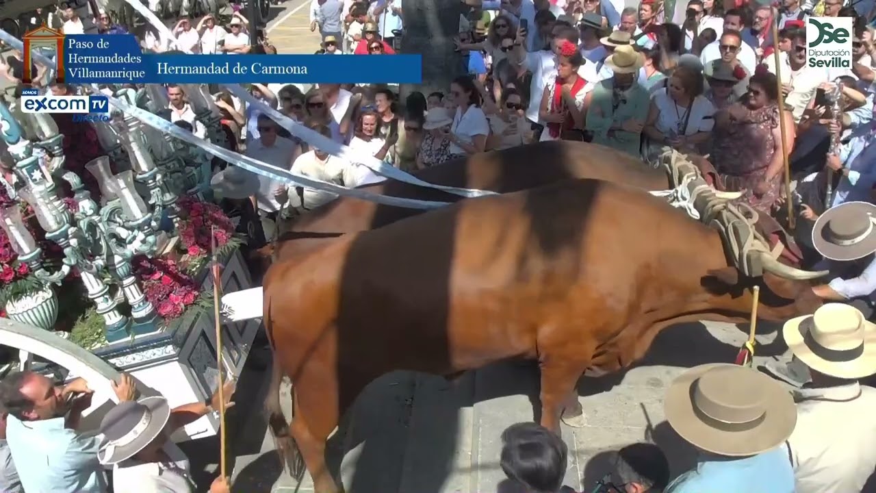 HERMANDAD DEL ROCIO DE  CARMONA. ROCIo 2025. VILLAMANRIQUE