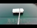 海下灣（by Mavic Air）4K航拍