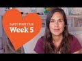 5 Week Old Baby - Your Baby’s Development, Week by Week