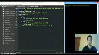Use of loops in Python. Case: while