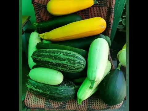 Кабачковая икра "Лучше Магазинной" - YouTube