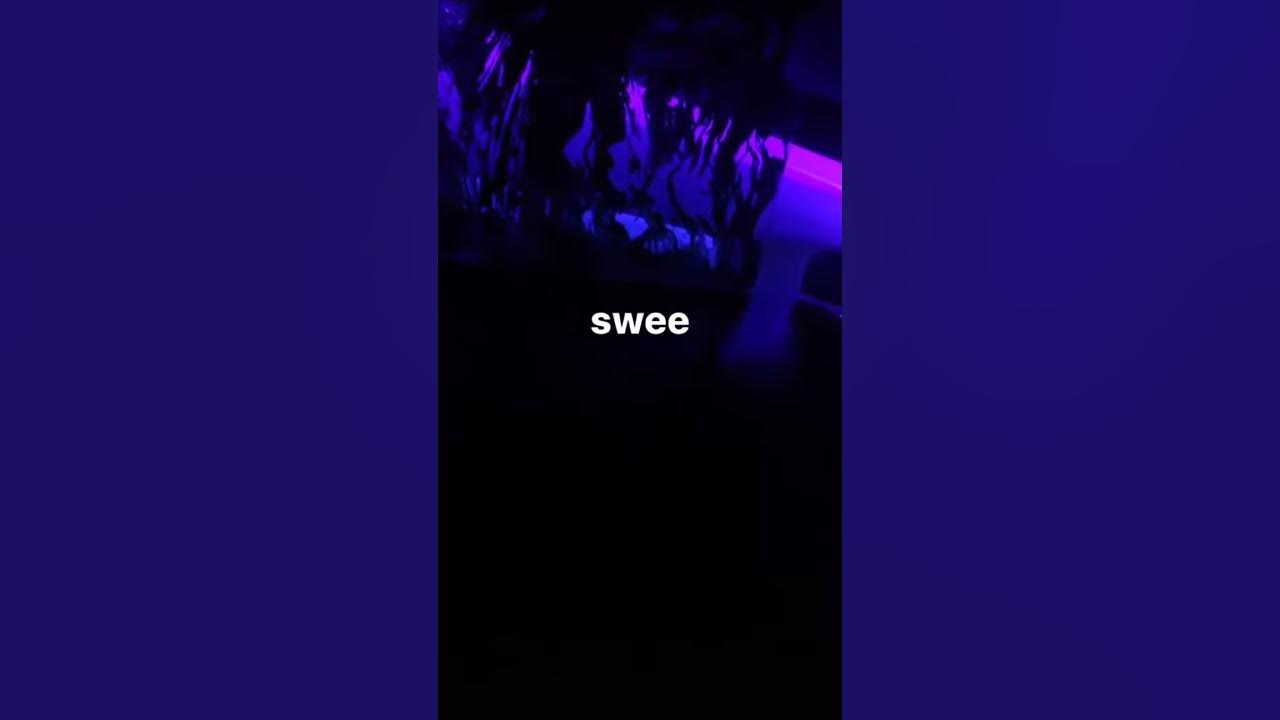 Фараон поет в живую. Pharaoh adrenalin stadium live. Фараон последний трек. Удаленные треки фараона. Последний трек фараон.