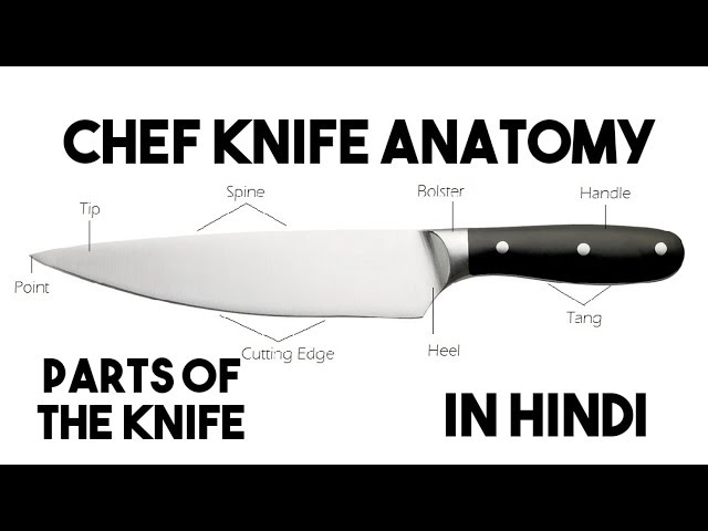 Parts of a Knife - Anatomy of a Chef's Best Friend