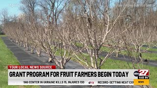 Grant programs for fruit farmers begin today