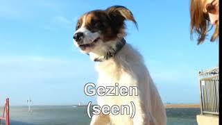De Schrik Van Scheveningen