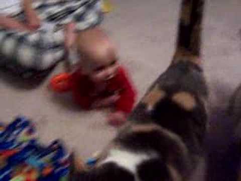 video phone beyonce mp3 Jackson Gets the Cat