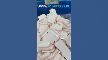 What is a Dragee Making Machine? Minipress.ru