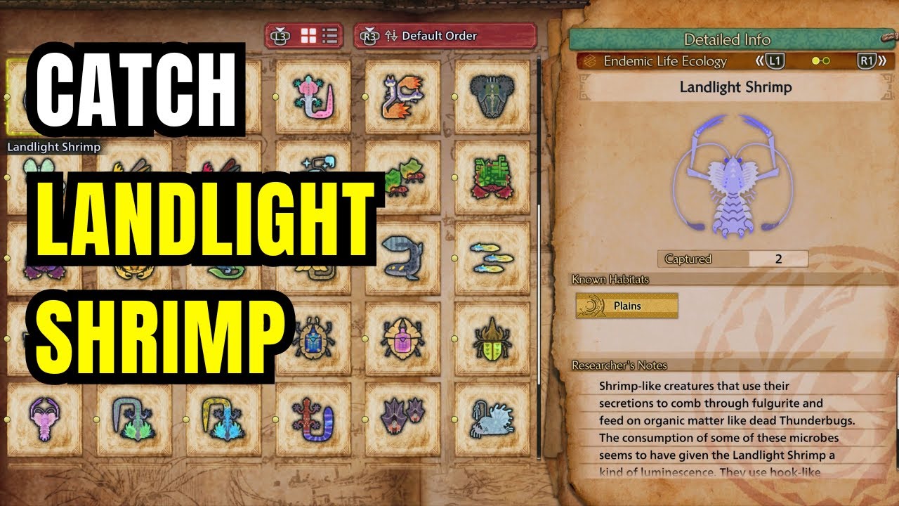 How to Capture Landlight Shrimp | Monster Hunter Wilds