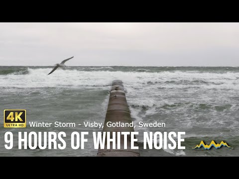 9-Hour Natural White Noise: Winter Storm Ocean Waves from Visby, Gotland by Sound Of Sweden