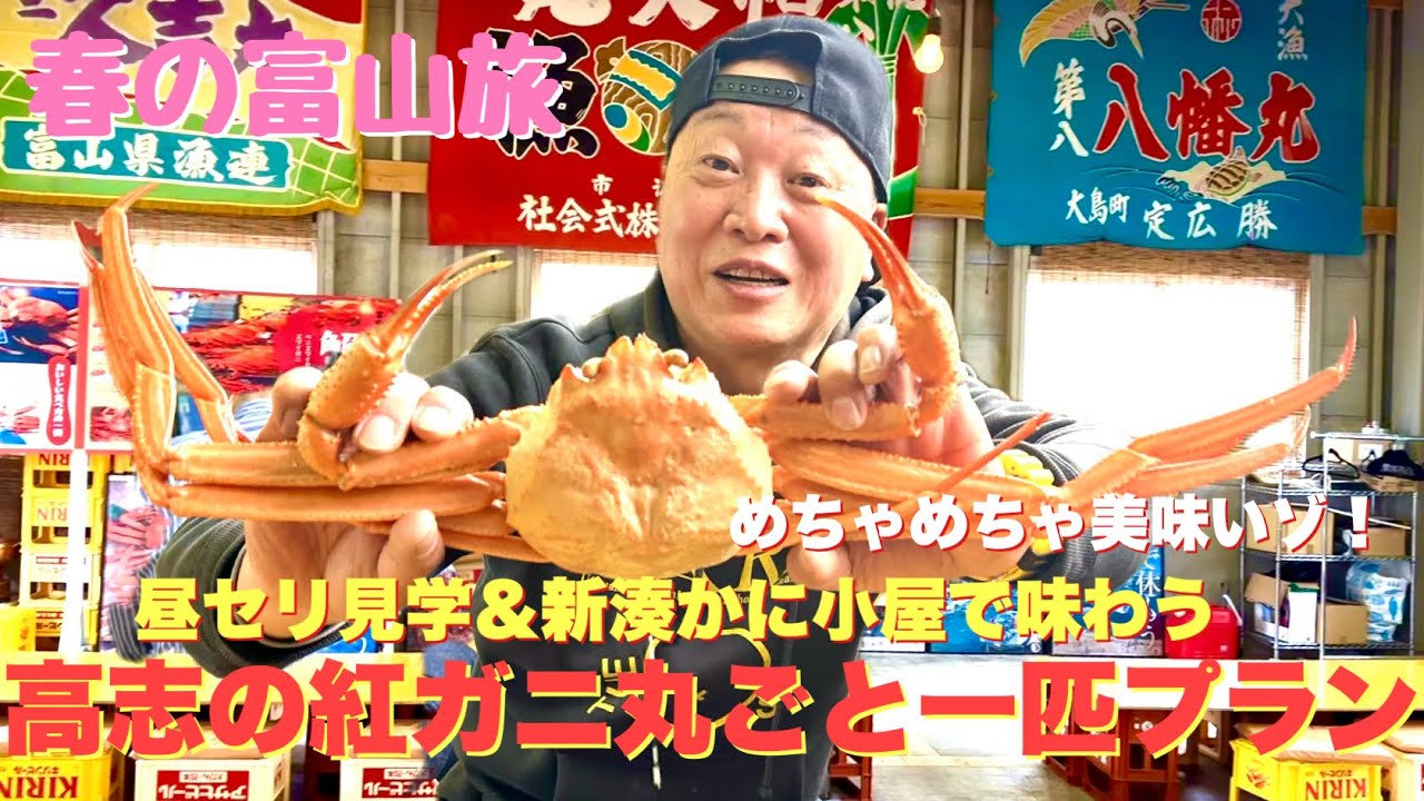 春の富山旅　昼セリ見学＆新湊かに小屋で味わう（高志の紅ガニカごと一匹プラン）3,500円