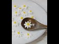 粉糖とマシュマロで作れます。ケーキに乗せるとケーキがめちゃくちゃ可愛くなりますね。