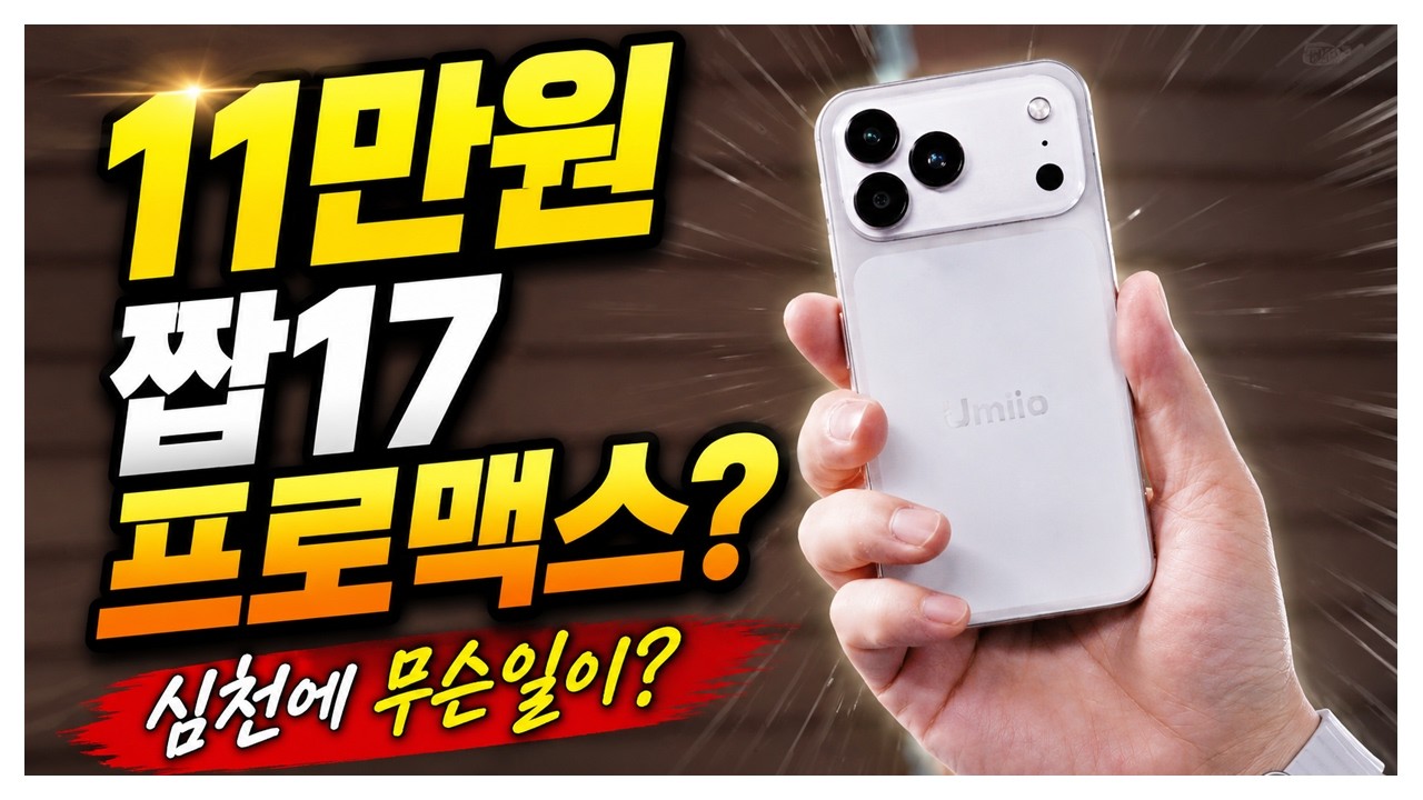 심천에서 영혼까지 털려왔습니다... 11만원 짭17 프로맥스 실화?