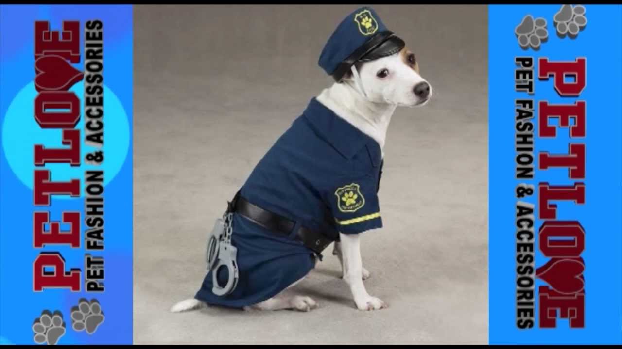 Petlove Carnival Promo 2013