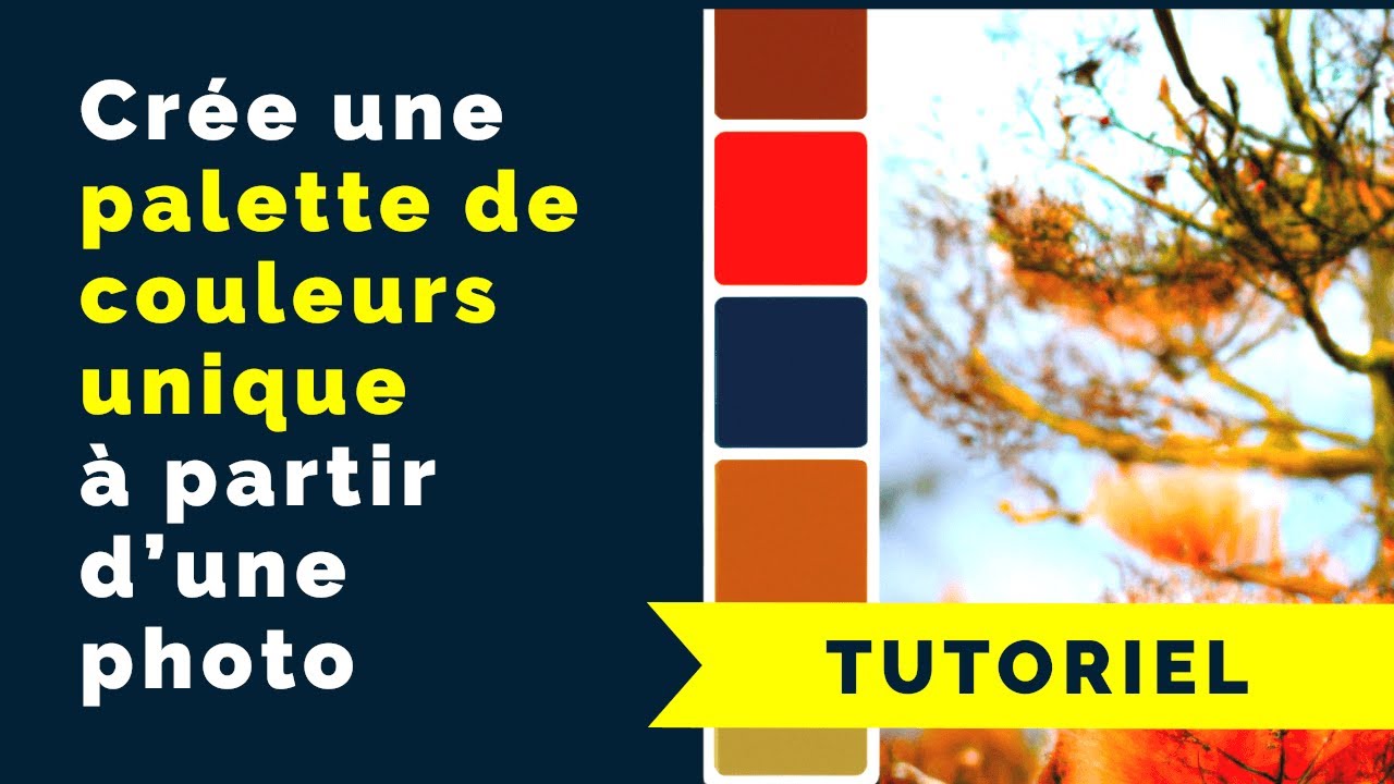 Crée une palette de couleurs unique à partir d’une photo [Tutoriel