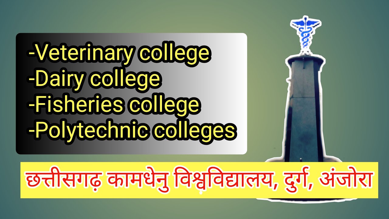 Chhattisgarh veterinary college anjora durg.best opportunity for