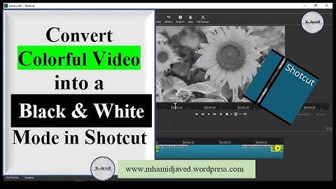 How to convert a colorful video into a black and white mode in shotcut