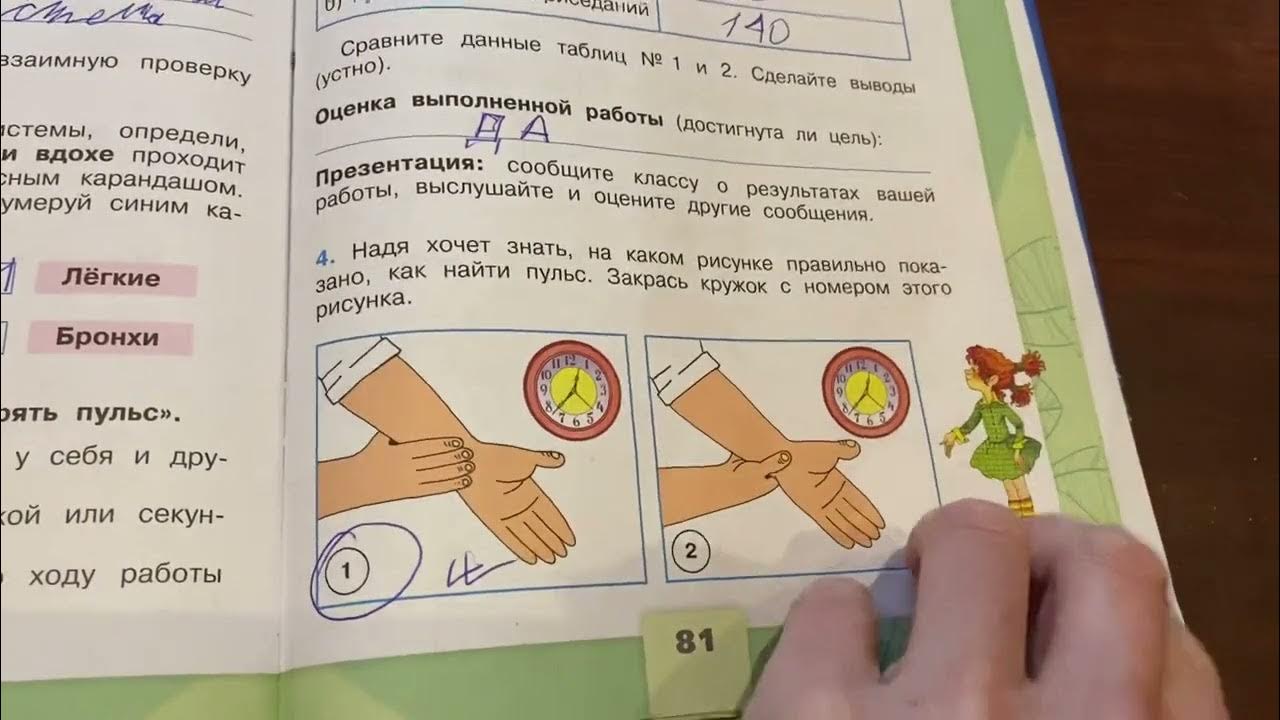 дыхание и кровообращение 3 класс задания. окружающий мир 3 класс рабочая тетрадь 1 часть пульс. окружающий мир рабочая тетрадь 1 часть 3 часть 3 класс. дыхание и кровообращение 3 рабочая тетрадь. дыхание и кровообращение 3 рабочая тетрадь.