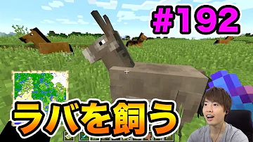 تحميل マイクラ ロバ تحميل マイクラ ロバ