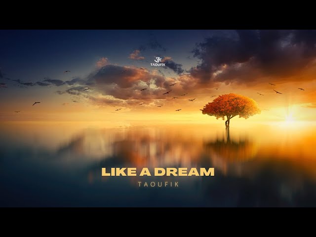 Taoufik - Like A Dream (Official Music Video) class=