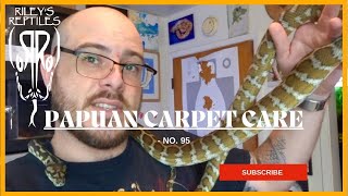 Famous Papuan Carpet Care - no. 95 Wealth