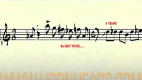 MonoNeon | "Kathy Jenson Signature Laugh"