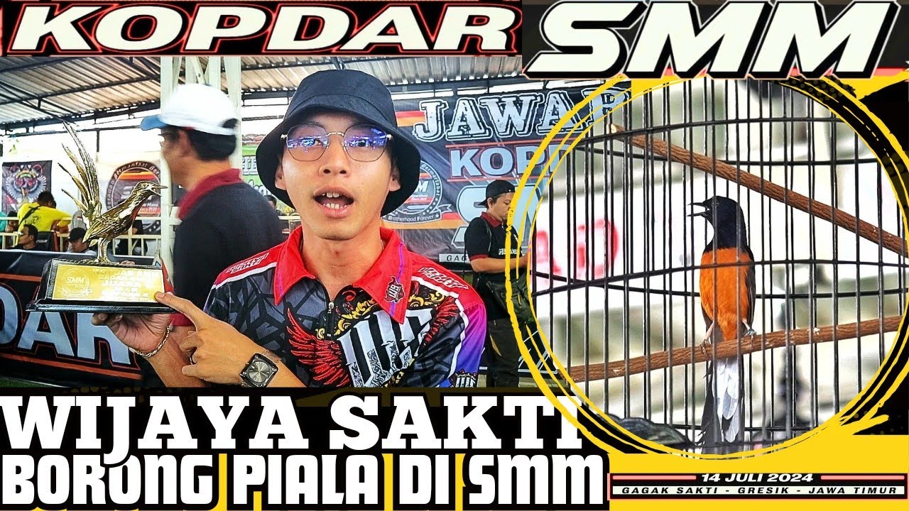 Murai Batu WIJAYA SAKTI Borong Tropy Di SMM Gagak Sakti Gresik 14 JULI 2024