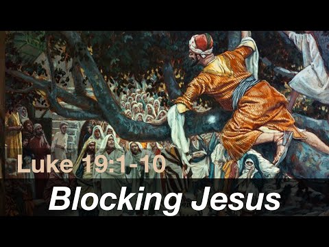 Zacchaeus vs The Crowd