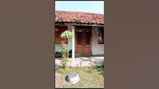 Berkunjung ke rumah Mbak Yati, Wanita HEBAT yang menjadi tulang punggung keluarga