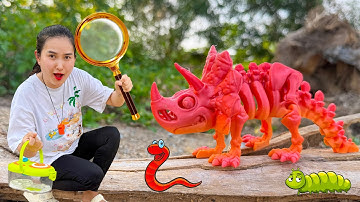 Changcady đi bắt côn trùng, phát hiện ra hóa thạch xương khủng long, cá sấu cổ đại