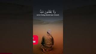 سورة مريم الاية 59 بصوت اسلام صبحي 🤍🌹😻