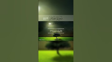 ‎آيات من سورة الحجر #القرآن_الكريم #القرآن #قران #قرآن #قران_كريم #quran #qurantilawat #holyquran