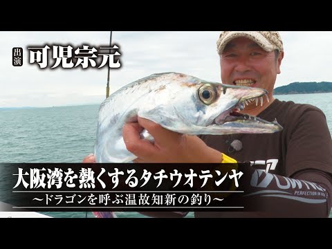 #388 大阪湾を熱くするタチウオテンヤ～ドラゴンを呼ぶ温故知新の釣り～