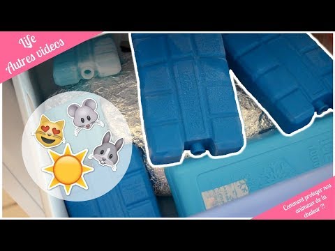 Vidéo: Dosimétrie Préclinique: Explorer L'utilisation Des Fantômes De Petits Animaux