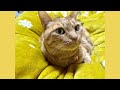 2026年🐴お久しぶりです🐈