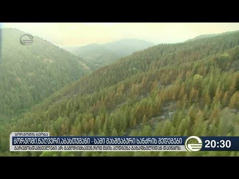 ბორჯომი, წაღვერი, აბასთუმანი - სამი მასშტაბური ხანძრის შედეგები