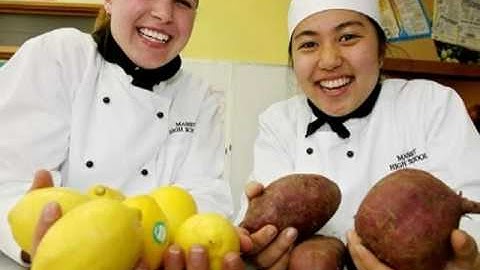 Jean Lave:  The Situated Learning Theory