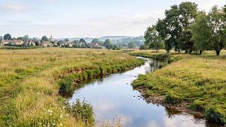 Gentle Stream in Open Meadows | Nature Sounds for Deep Sleep & Focus