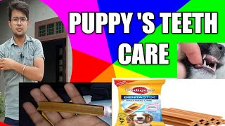 Dentastix for dogs / Puppy's Teeth Care/ THE PET VISION/BY Sahil Malik