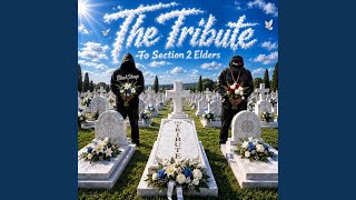 THE TRIBUTE (Radio Edit)