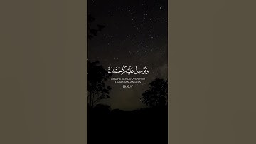 (وهو القاهر فوق عباده) القارئ: فارس عباد