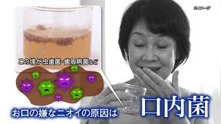 アイテック トータルオーラルケア アイテック 【正規品】DENTAL H2 セット（電動歯ブラシ/専用除菌器