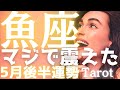 【魚座♓️5月後半】正直、震えました。今まで空回りしてた理由が全部判明!重荷を下ろした瞬間に舞い込む幸運が規格外すぎる🙌タロット占い