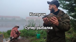 Качественная рыбалка в Колтушах. Осенью просыпается крупный карась.