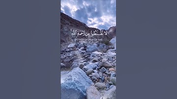 تلاوة هادئة الشيخ ياسر الدوسري،،، ستوريات حالات واتس اب