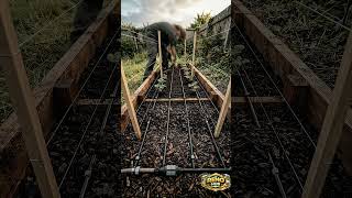 We Grew the Most Beautiful Strawberry Patch From Scratch l Growing Transformation 🍓 #usa