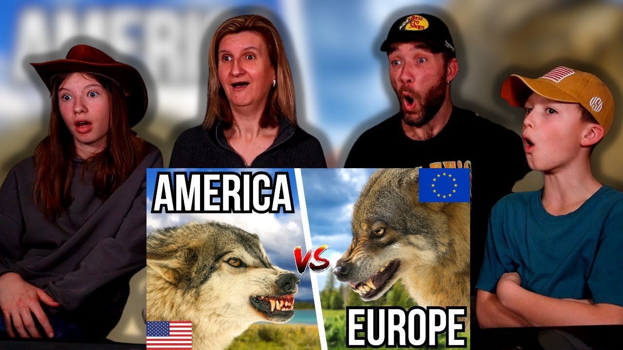 European Family Reacts To 3 American VS 3 European Animals