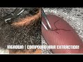 Very Satisfying Ingrown & Compound Hair Extraction!!!